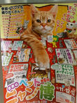 20140317d.JPG