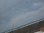 20140319b.JPG