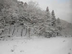 20140322i.JPG