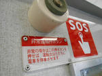 20140402k.JPG