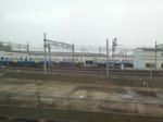 20140407d.JPG