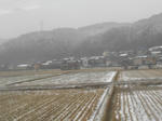 20140409b.JPG