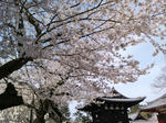 20140415a.JPG