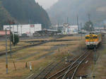 20140417j.JPG