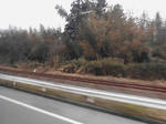 20140418k.JPG