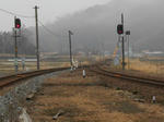 20140418m.JPG