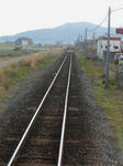 20140503h.JPG