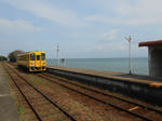 20140506h.JPG