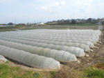 20140506i.JPG