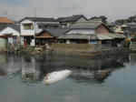 20140507e.JPG