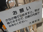 20140511f.JPG