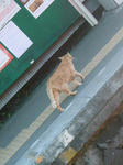 20140516c.JPG