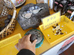20140519l.JPG