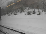 20140520c.JPG