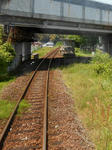 20140531j.JPG