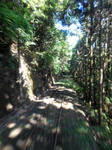 20140601a.JPG