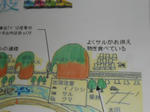 20140601d.JPG