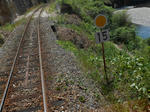 20140601g.JPG