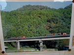 20140602h.JPG