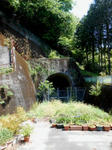 20140604b.JPG