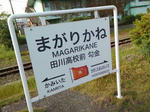 20140606b.jpg