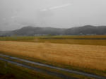 20140606i.JPG