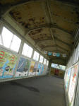 20140619h.JPG