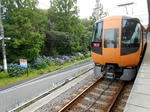 20140625a.JPG