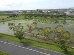20140723e.JPG
