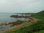 20140728g.JPG