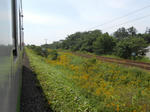20140915d.JPG