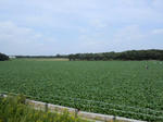 20140915e.JPG