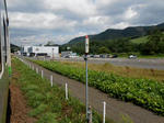 20140917b.JPG