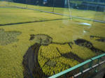 20140922e.JPG