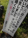 20141005a.JPG