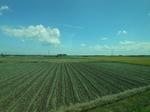 20141006h.JPG