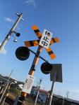 20141028a.JPG