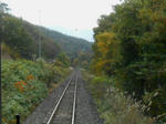 20141103h.JPG