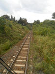 20141109e.JPG