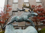 20141114a.JPG