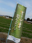 20150228e.JPG