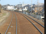 20150319f.JPG