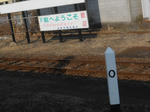 20150321d.JPG