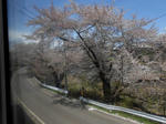 20150430d.JPG