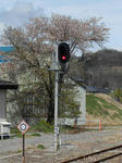 20150430f.JPG