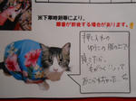 20150505e.JPG