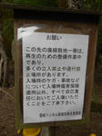 20150509a.JPG