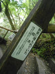 20150509i.JPG