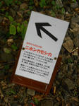 20150510f.JPG