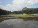 20150527d.JPG
